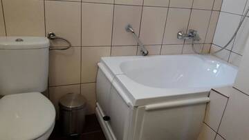 Фото номера Улучшенный люкс Гостевой дом Pensiunea Family Zone г. Roşiori de Vede 10